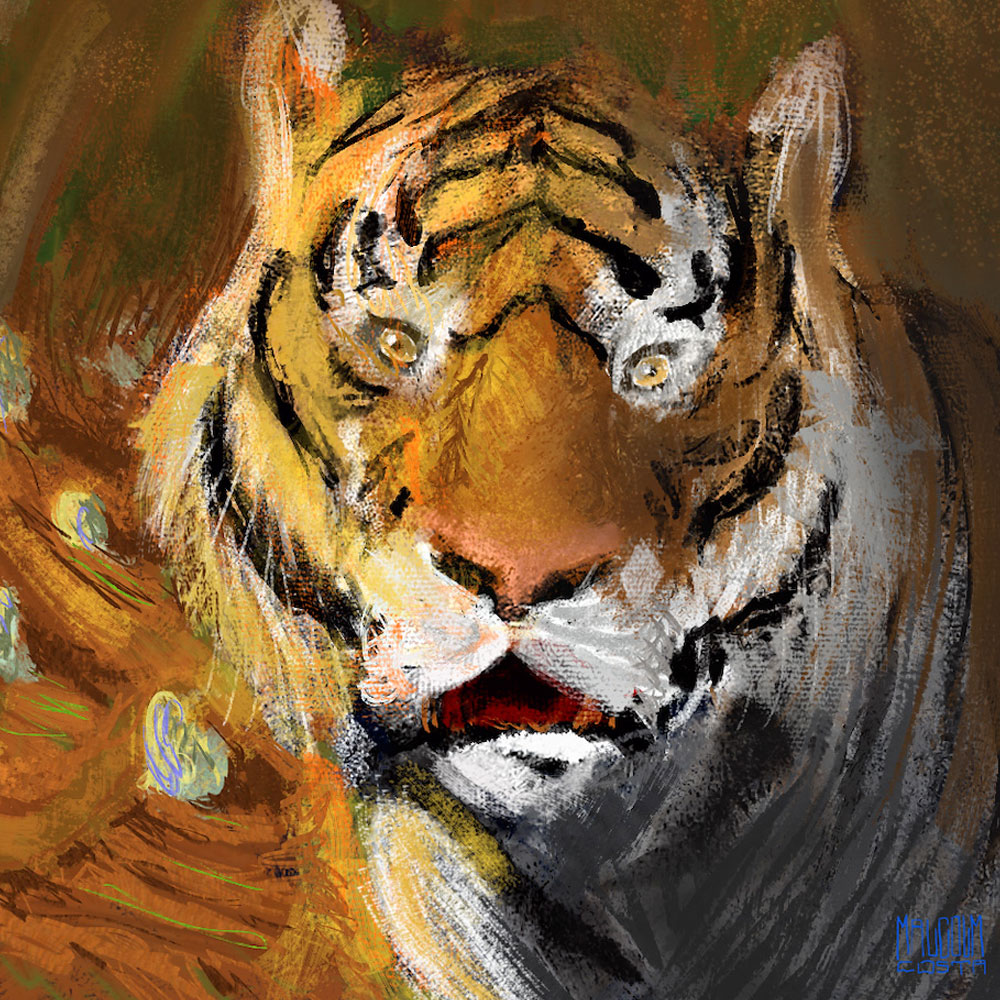 O TIGRE CHOCADO
